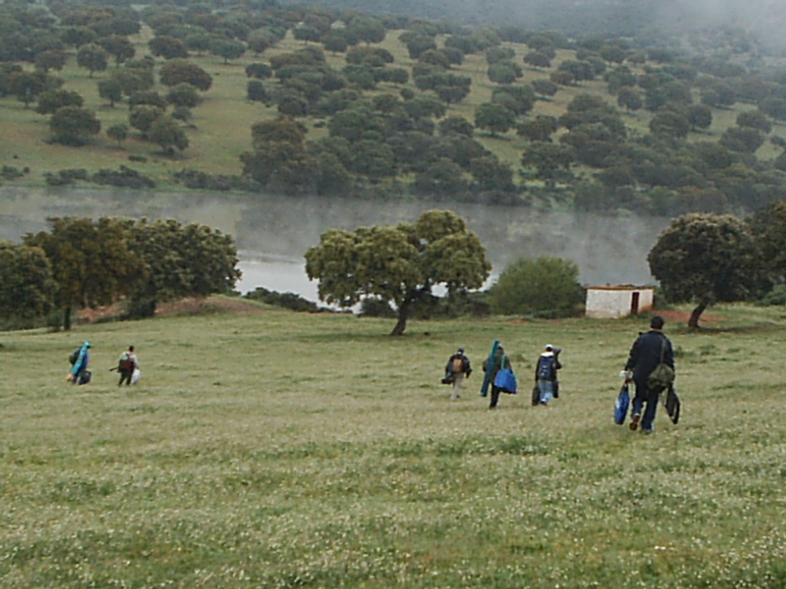Bonita imagen en El Pe&ntilde;oncillo